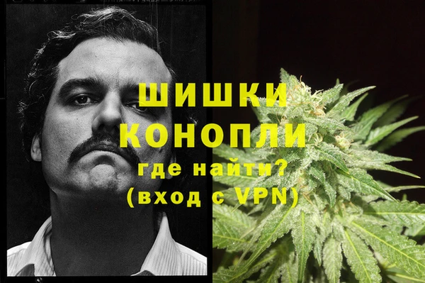 ГАЛЛЮЦИНОГЕННЫЕ ГРИБЫ Киреевск