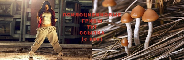 ГАЛЛЮЦИНОГЕННЫЕ ГРИБЫ Киреевск